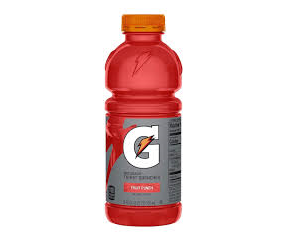 Gatorade Fruit Punch 