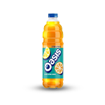 Oasis Citrus Punch 